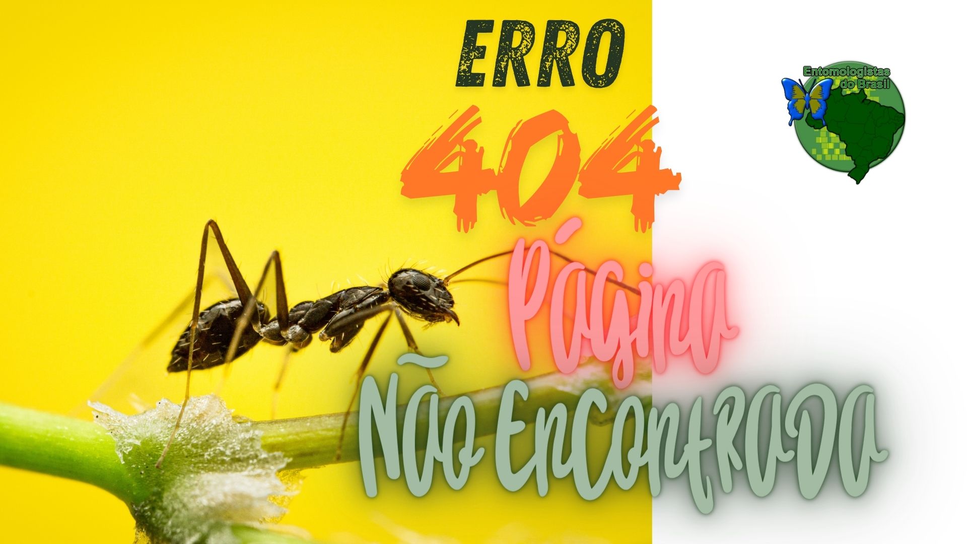 Entomologistas do Brasil