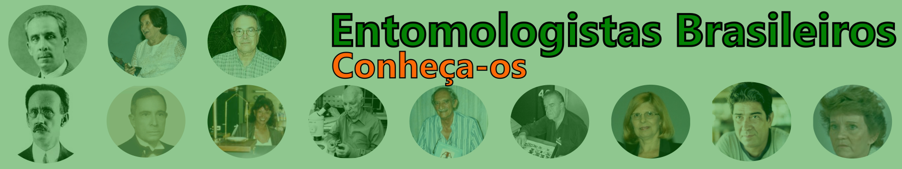 Entomologistas Brasileiros